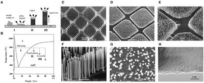 Nanowire Waveguides and Lasers: Advances and Opportunities in Photonic Circuits